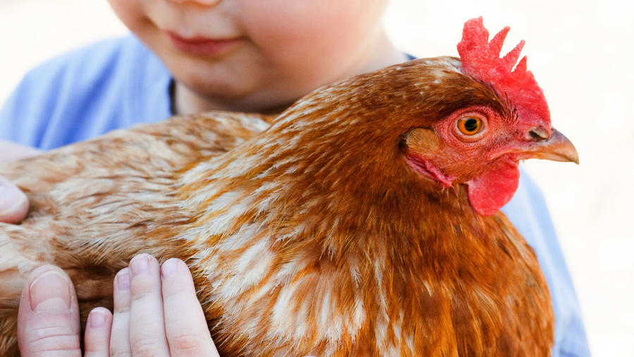 Top 8 Agritourism Experiences