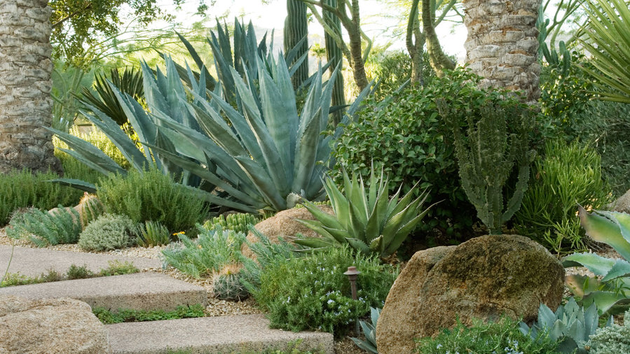 make-a-park-out-of-a-path