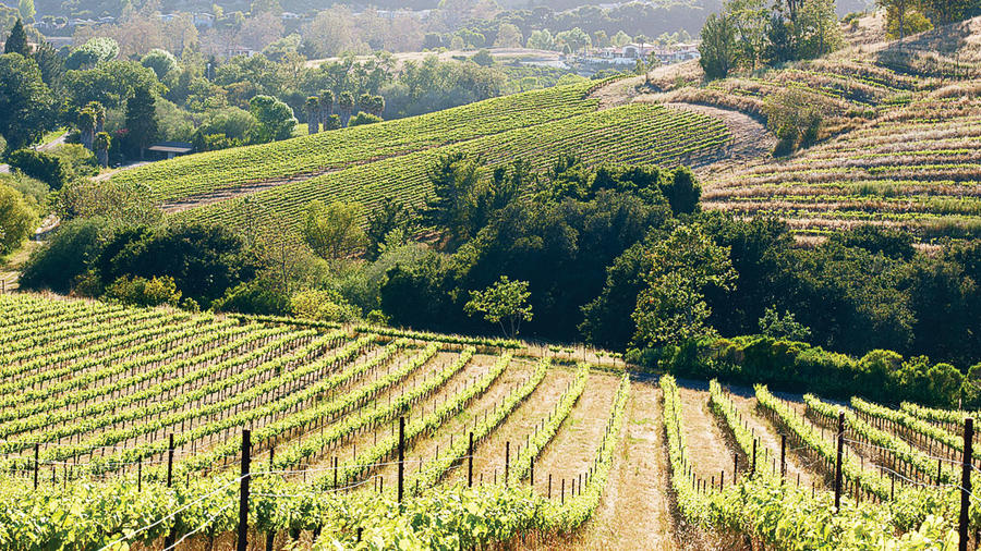 Avila Beach: Wine, Waves, and Restaurants
