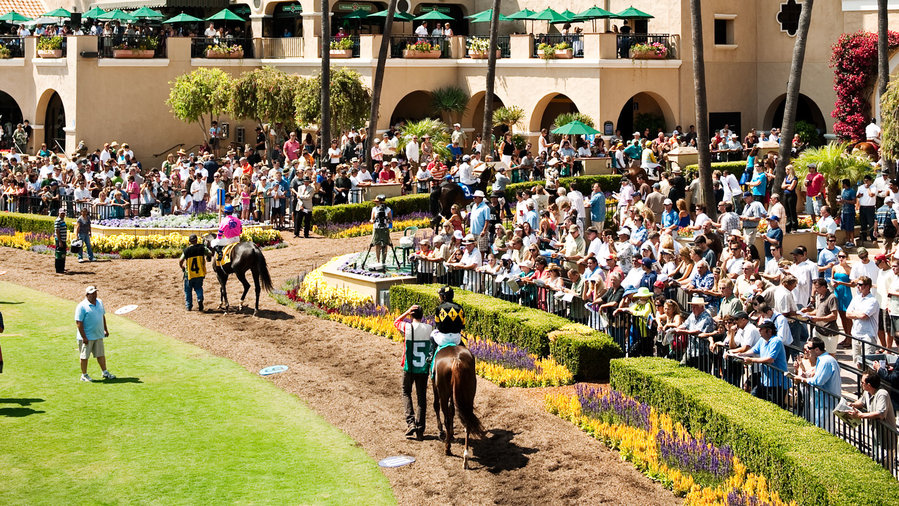 Del Mar: Vital Stats