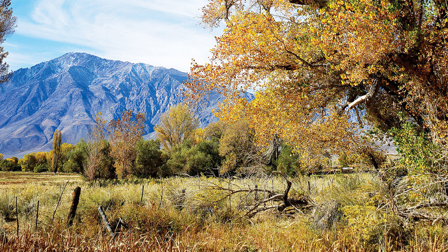 How to Really Soak up Fall