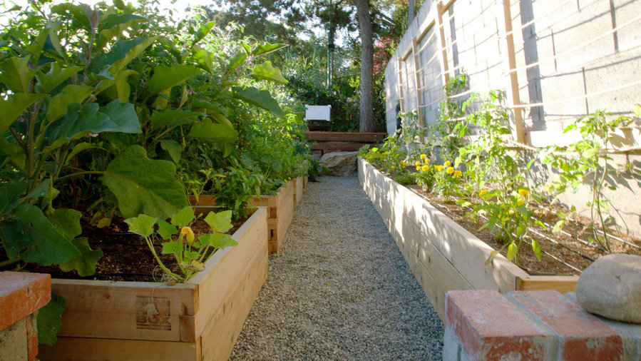 How to Start a Raised-Bed Veggie Garden - Sunset Magazine ...