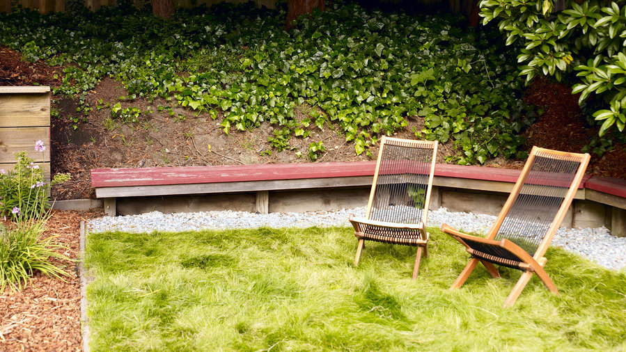 3 Strategies for Replacing Your Lawn