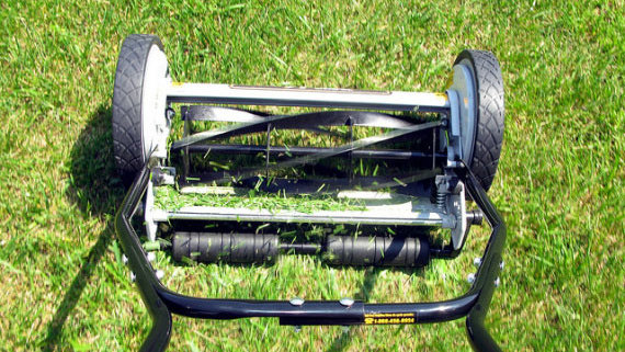 Renovating an old lawn