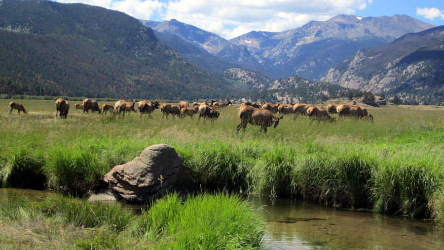Top Wow Spots of Rocky Mountain National Park