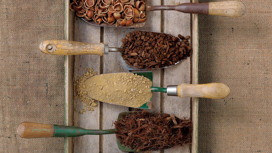Q&A: Mulch Basics