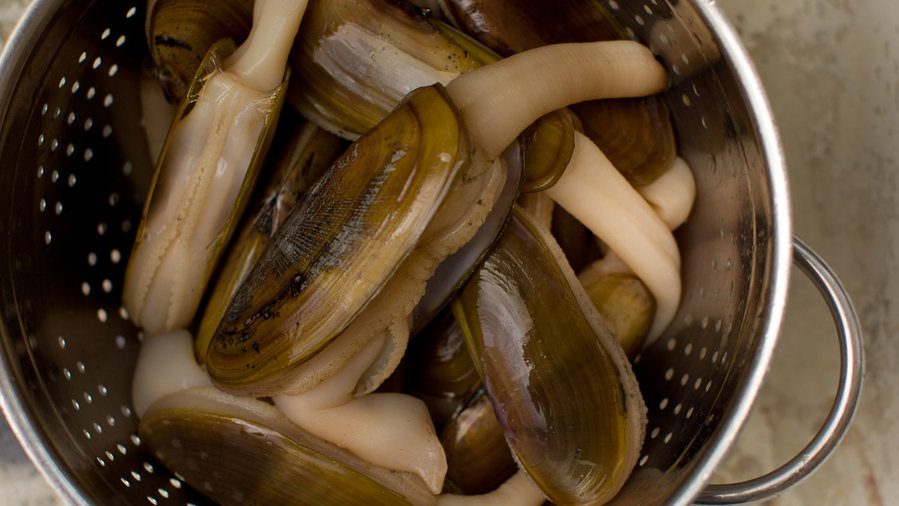 How to Clean Razor Clams