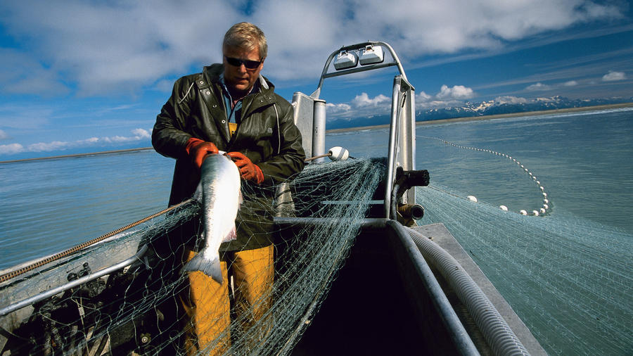 Sustainable Fishing Methods