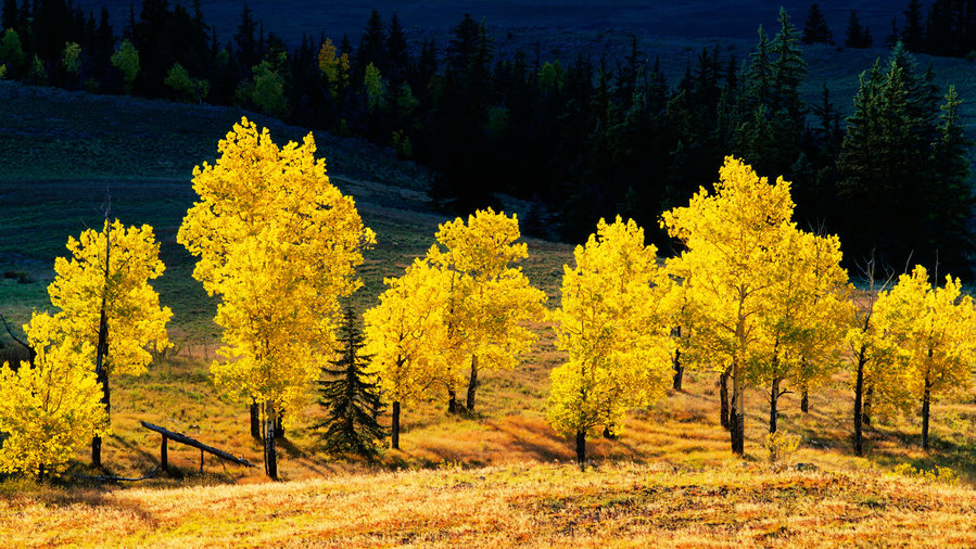 Where & When to Peep the Best Autumn Foliage