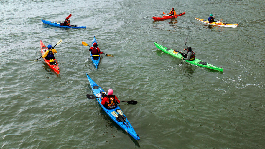 Best San Francisco Bay Area Paddling Adventures
