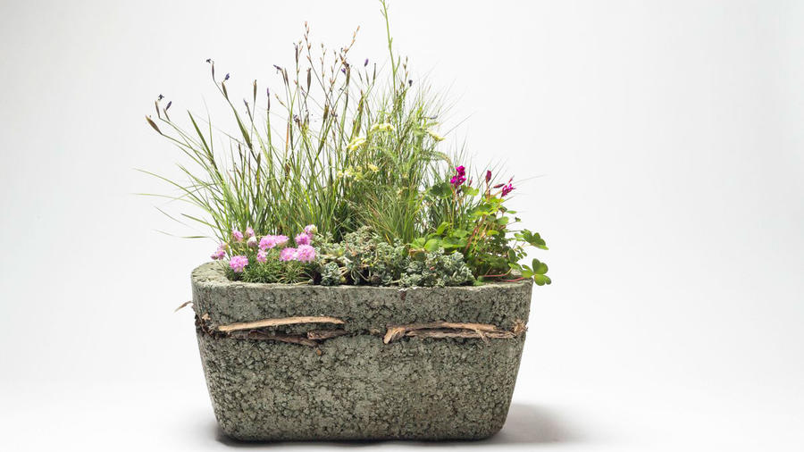 Gorgeous Container Meadows