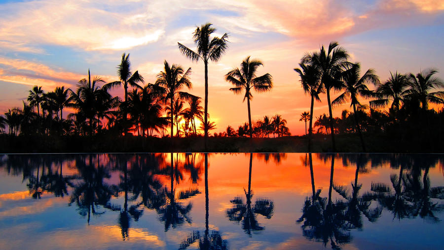 Insider Guide To Puerto Vallarta Sunset Magazine