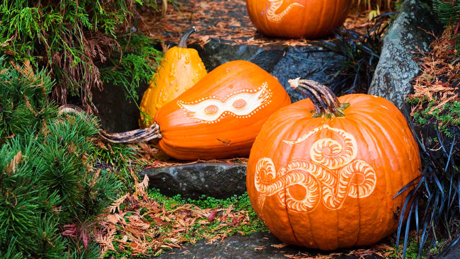 How to Carve Elegant Pumpkins Sunset Magazine Sunset Magazine