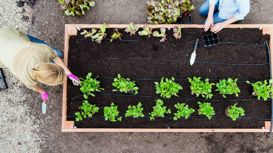 Raised Garden Bed Designs Sunset Magazine