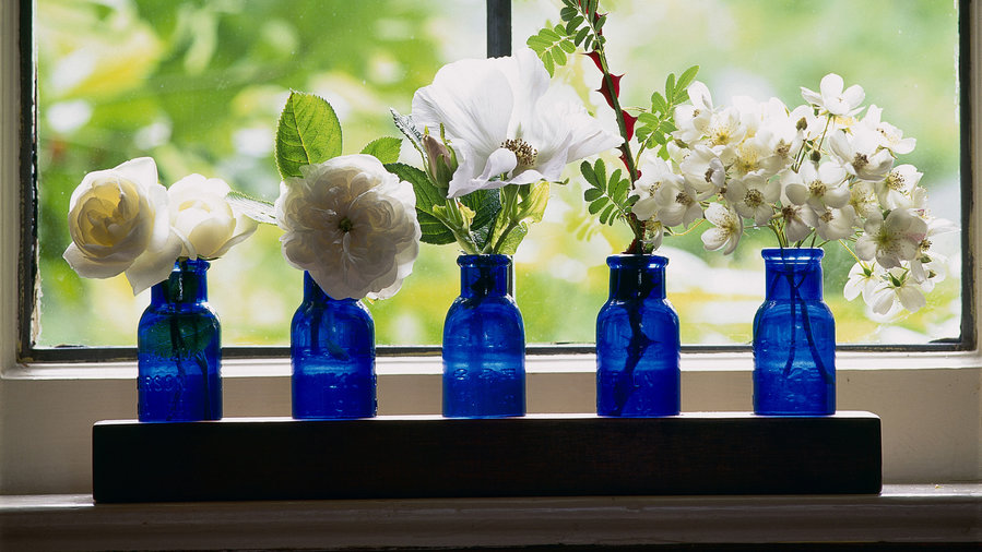 Adorable Windowsill Gardens - Sunset Magazine