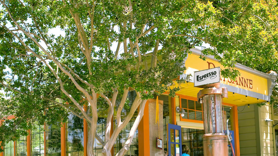 One Perfect Day in Boonville, CA