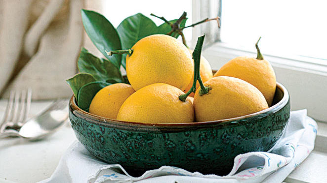growing citrus