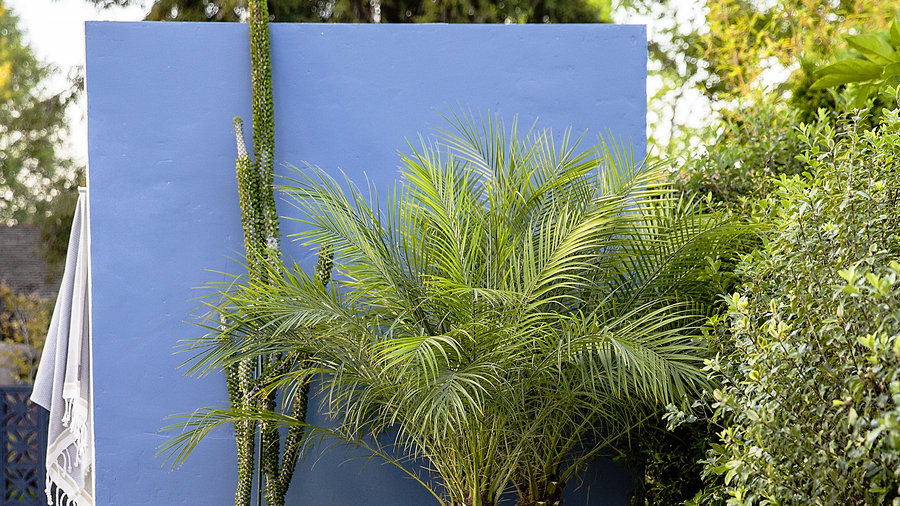 achieve-a-lush-effect