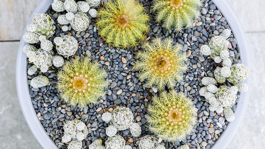 use-a-cool-color-palette