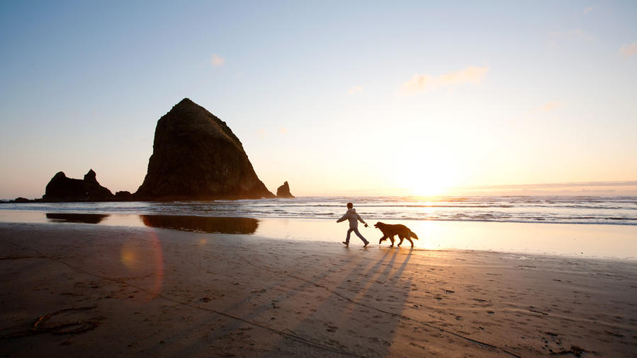 Dog-friendly travel to Cannon Beach, Oregon