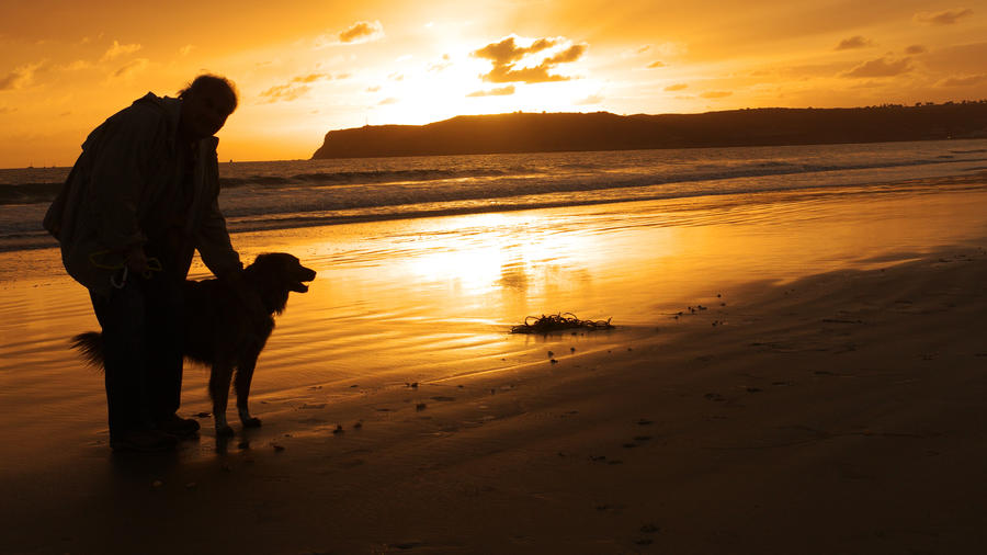 Best DogFriendly Vacations 25 Trips for You and Your Pup Sunset