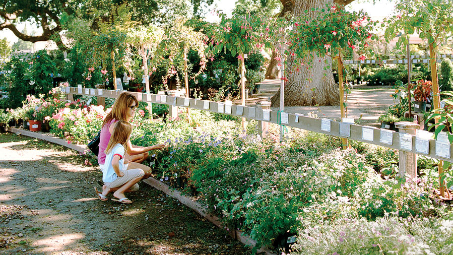 Livermore, California Garden Shops Sunset Magazine