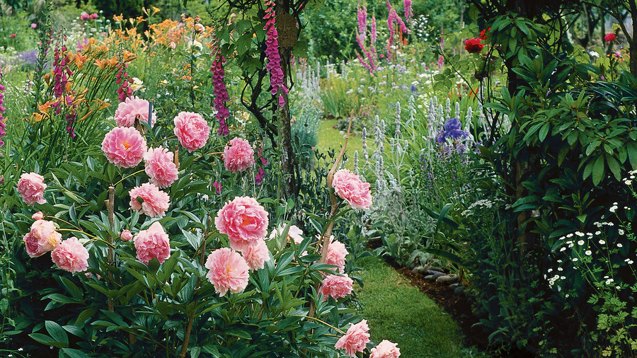 cottage garden