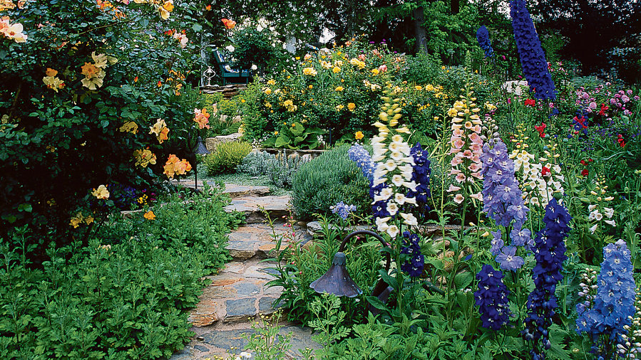 cottage garden