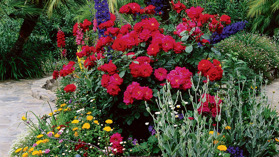 cottage garden