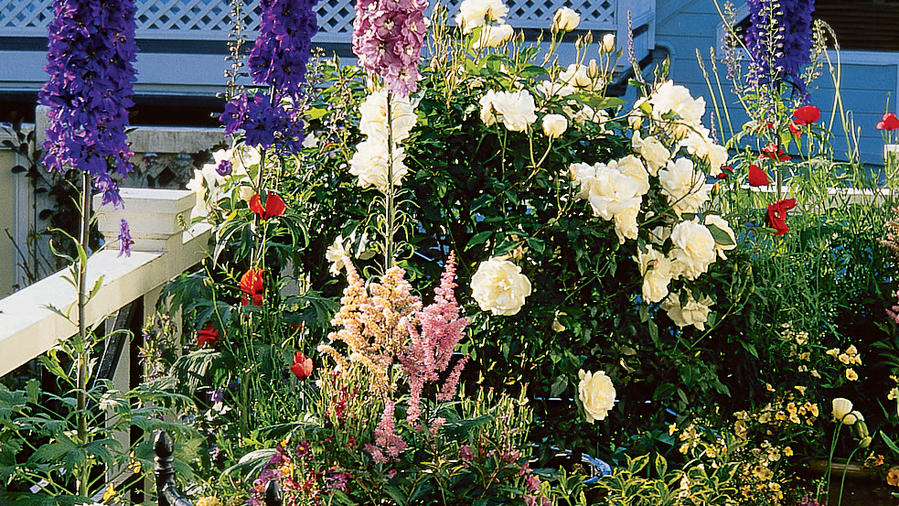 cottage garden