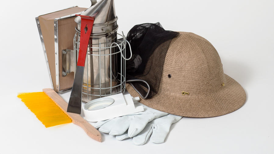 beekeeping-starter-kit