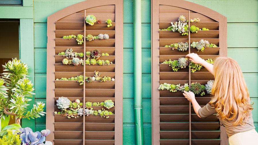 in-salvaged-shutters