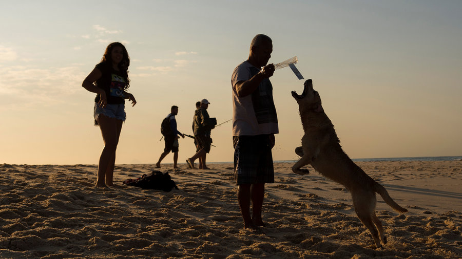 Top Dog Beaches in the West Plus Acessories and Tips Sunset Magazine