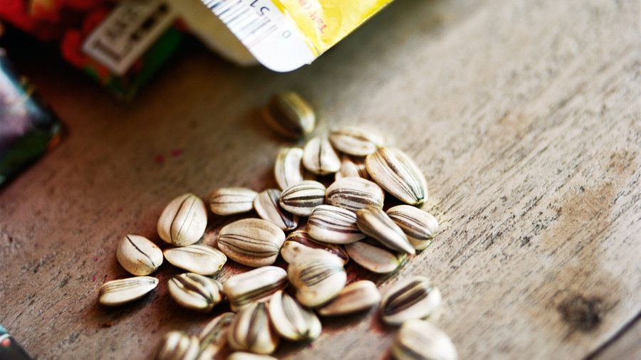 four-secrets-to-kollas-success1-buy-certified-organic-seeds