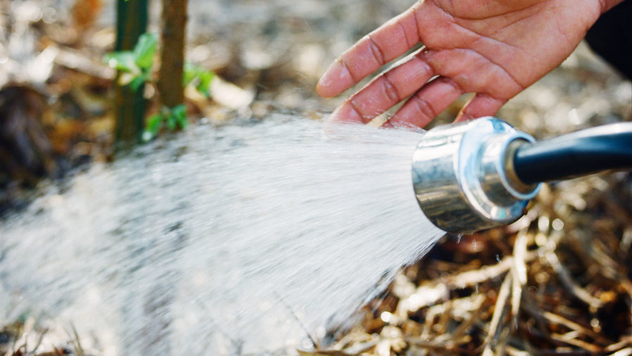 Watering guidelines