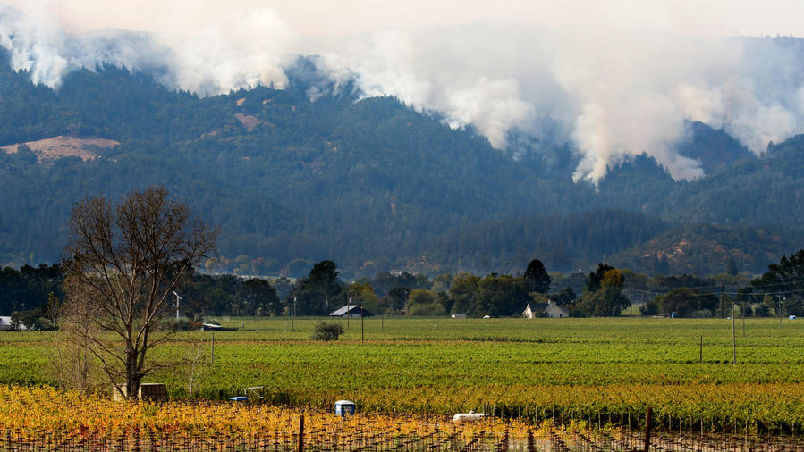 The Northern California Wildfires Wine Industry Impact - 