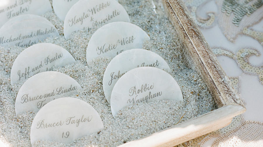 Coastal Garland with Sand Dollars - A Wonderful Thought