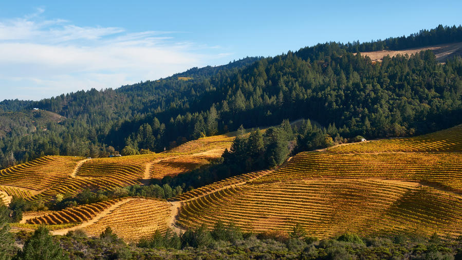 2 Superb Napa Valley Road Trips You Can Take Now
