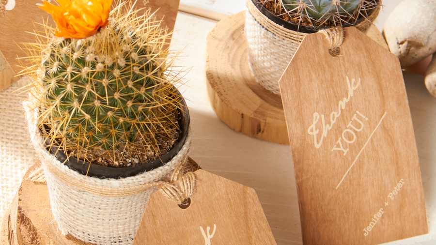 Artificial Cactus Plant White Pot Indoor House Office Home Decoration Decor  | eBay