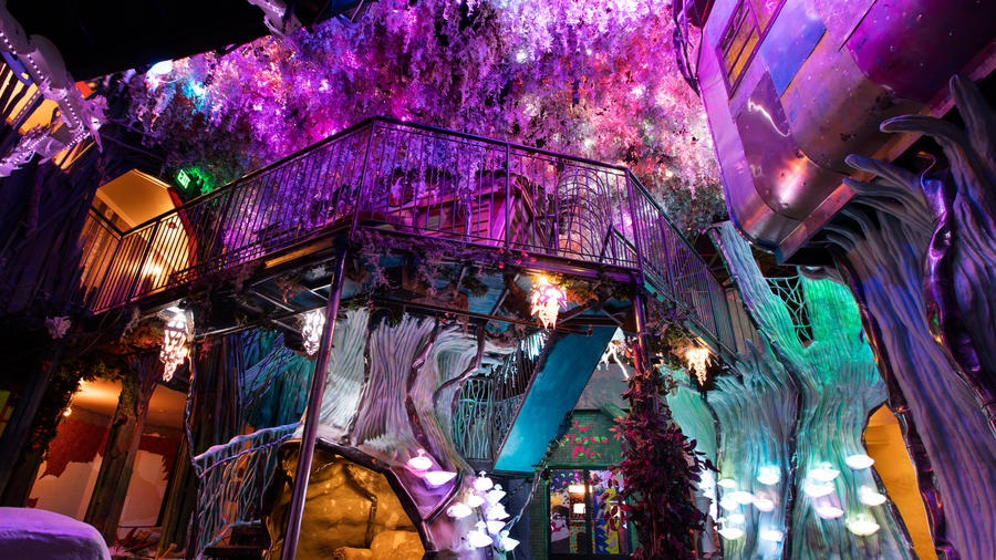 Not Going to Coachella? Get Your Festie Fix at These 5 Other Spring Happenings in the West