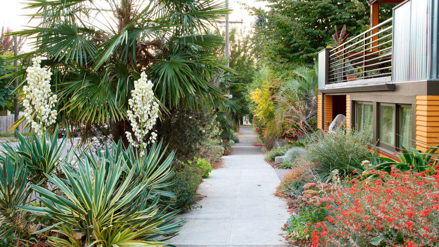 in-the-parking-strip