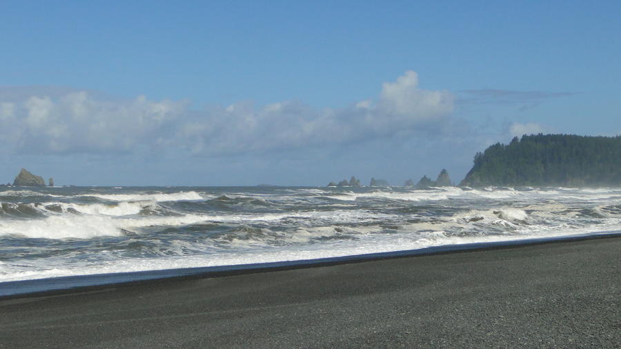 Pacific Heights beach at Olympic National Park