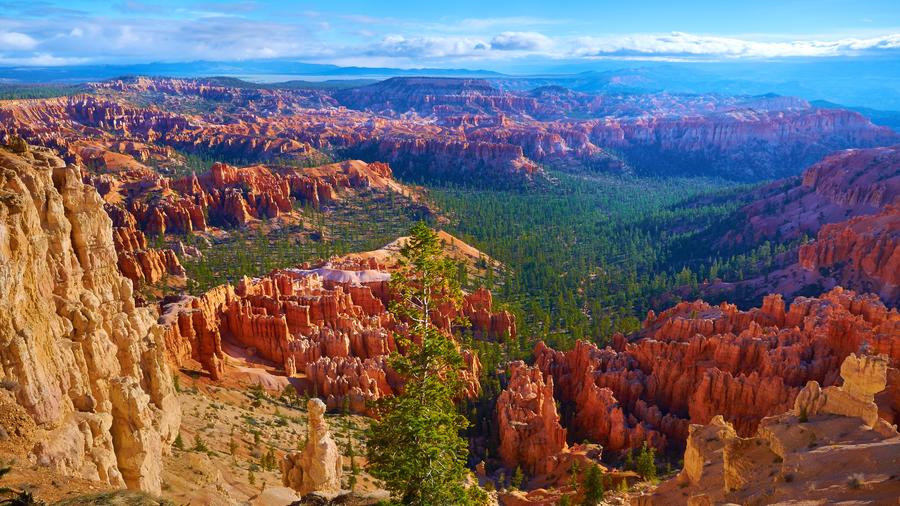 Sand castles 101, camping in wine country, and more great travel finds for your weekend