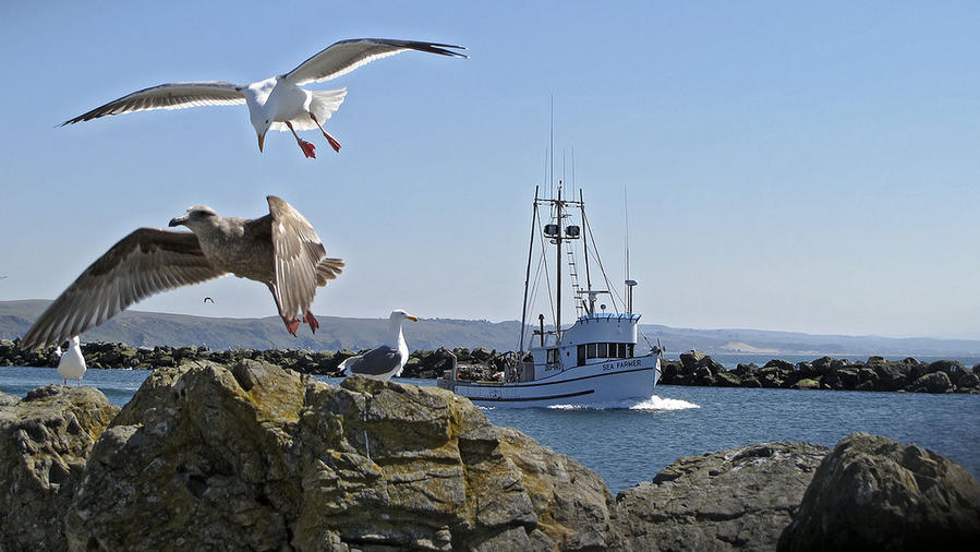The best coastal towns in California, free concerts in Portland, and more great weekend travel finds