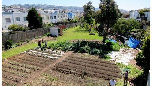 San Francisco Passes Urban Agriculture Zoning Changes Sunset