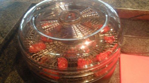 Dehydrated tomatoes, part 2