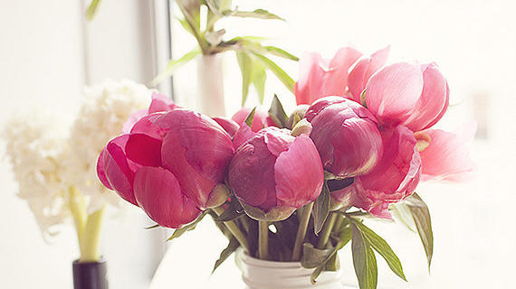Links We Love: Fresh Face Forward
