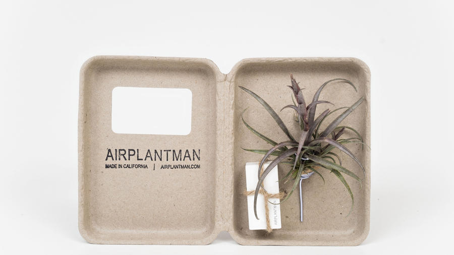5 Stocking Stuffers for Plant Lovers