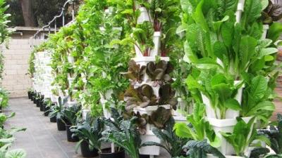 The Latest Farm-to-Table Trend
