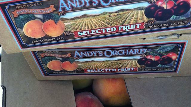 This Summer’s Most Gorgeous Stone Fruit
